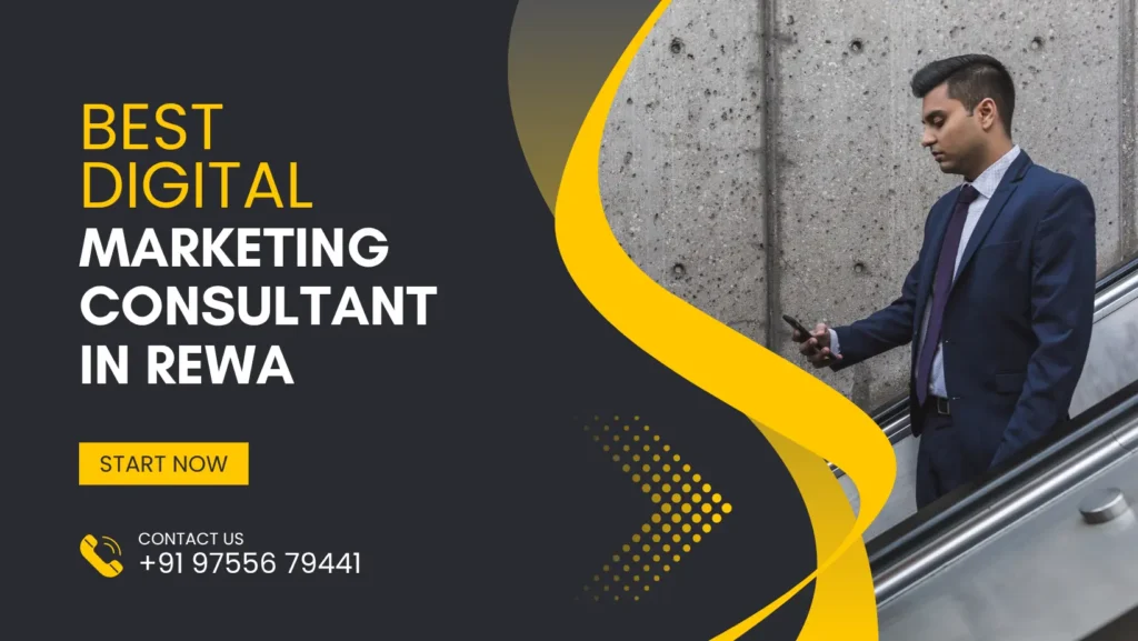 Best Digital Marketing Consultant in Rewa